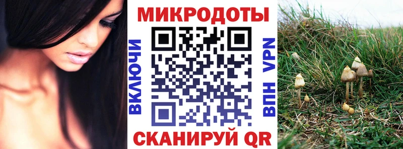 Псилоцибиновые грибы мицелий  гидра tor  Кизел  купить наркоту 